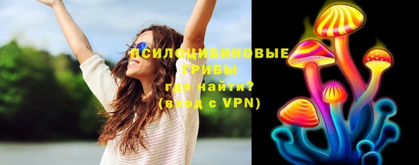 винт Алексеевка