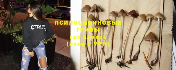 винт Алексеевка