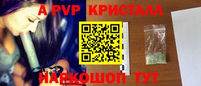 ECSTASY Новозыбков