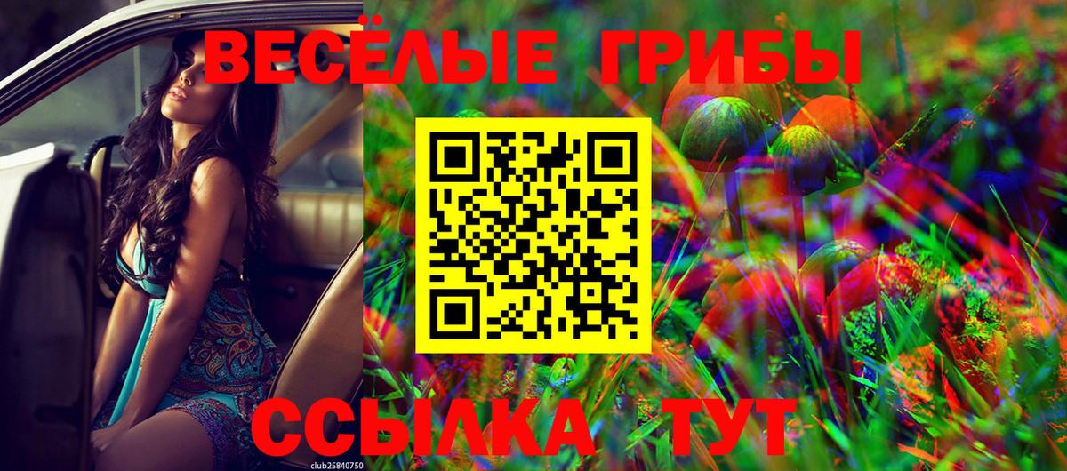 Псилоцибиновые грибы Psilocybine cubensis  купить   Ухта  Вход с VPN 